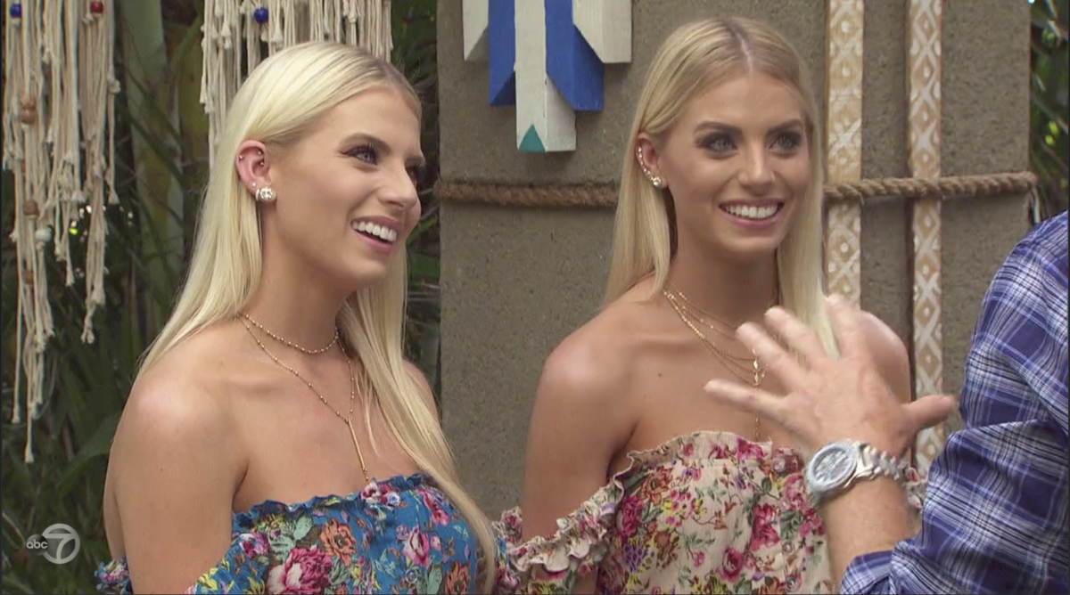 The Best 'Bachelor In Paradise' Recap You'll Ever Read, Week 4 Night 2